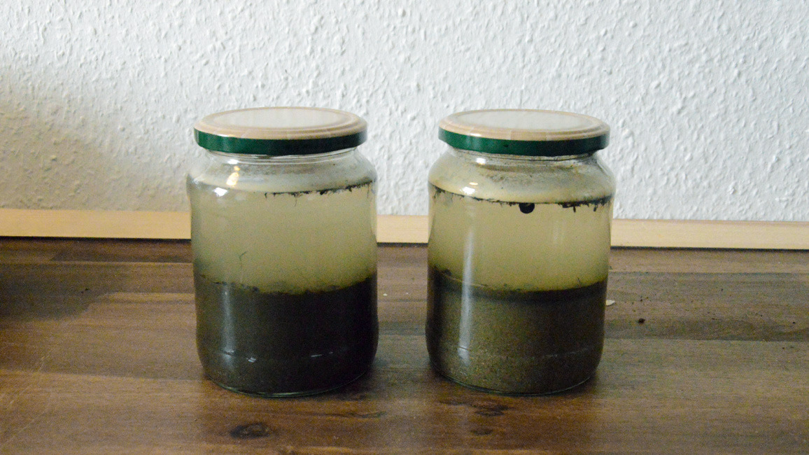 Vergleich der Gläser mit unterschiedlichen Substraten.