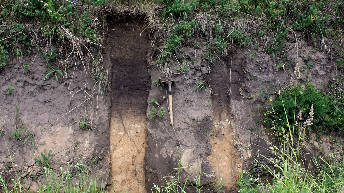 Schwarzerdeprofile in dicken Lösssedimenten
