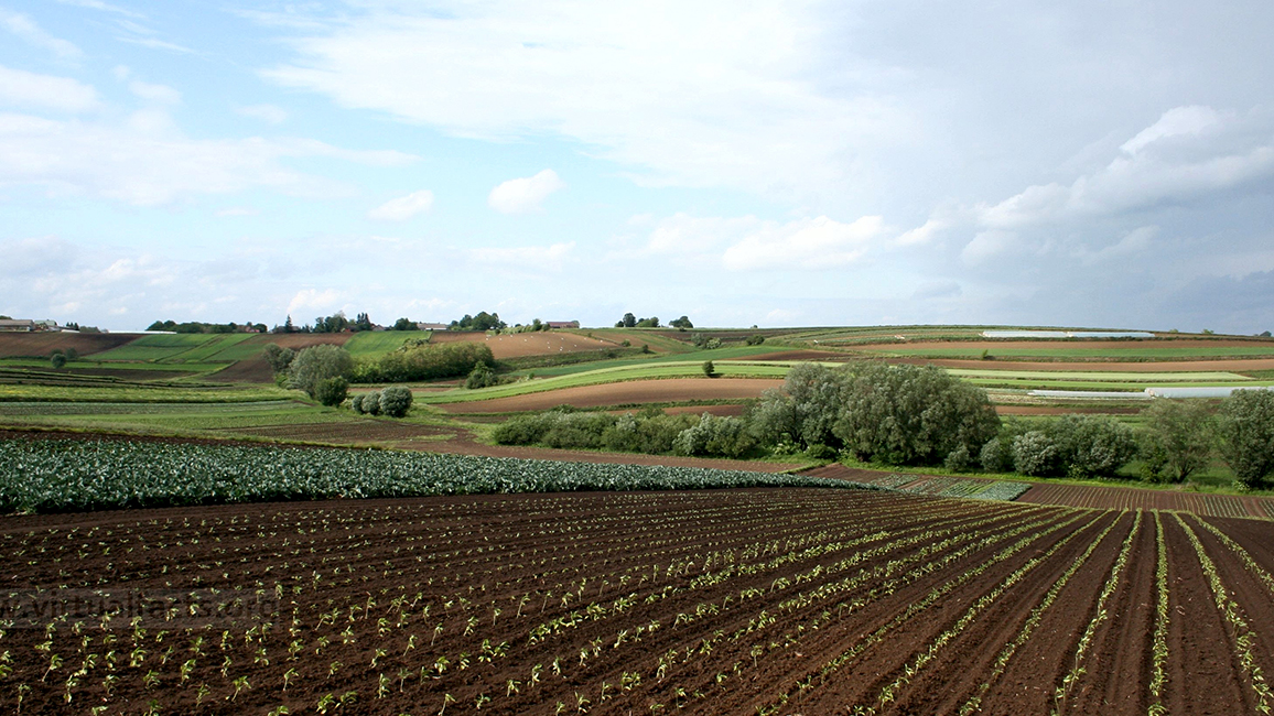 Strukturreiche kleinbäuerlich genutzte Lössregion