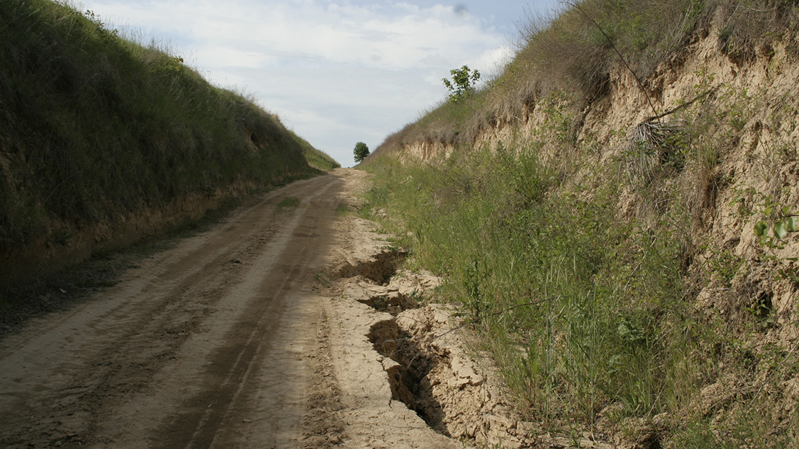 Tiefer Hohlweg mit anhaltender Erosion in einer mehrere Meter dicken Lössdecke