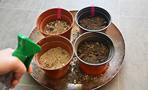 Sprühflaschen