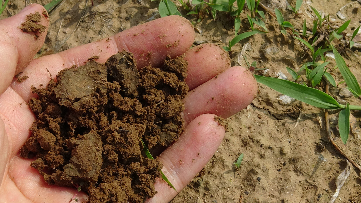 Foto vom Erde in einer Hand